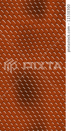 snake skin 11538300