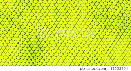 snake skin 11538304