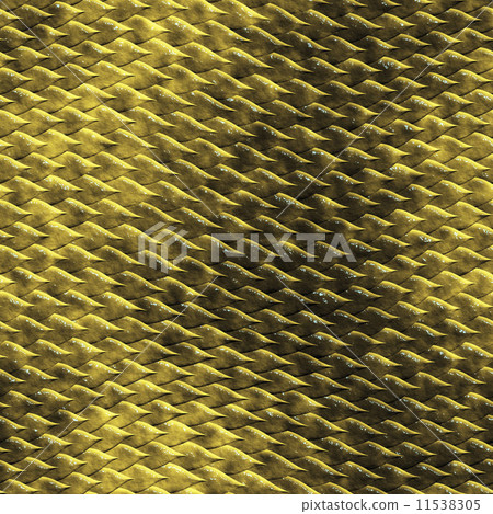 snake skin 11538305