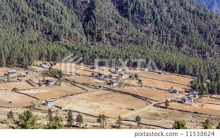 gangtey village 11538624