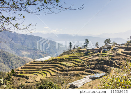 Village with rice terraces 11538625