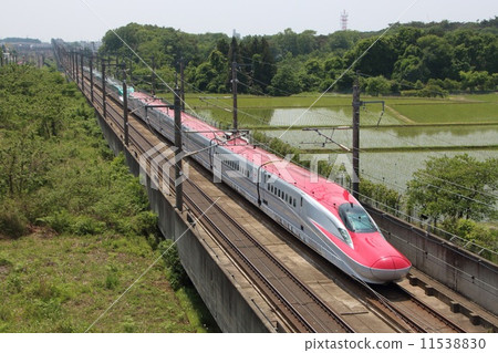 秋田新幹線E6系列+東北新幹線E5系列 11538830