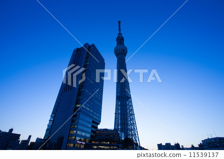 黃昏的東京天空樹鎮 黃昏的東京天空樹鎮 11539137