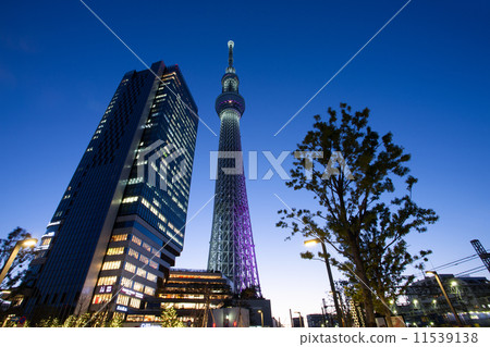 黃昏的東京天空樹鎮 11539138