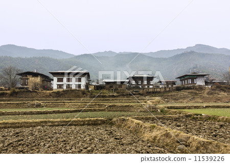 farmers houses, Bhutan 11539226