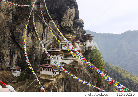 tiger's nest, Bhutan 11539229
