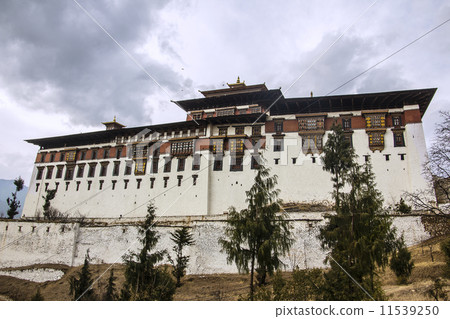 The Paro Dzong 11539250