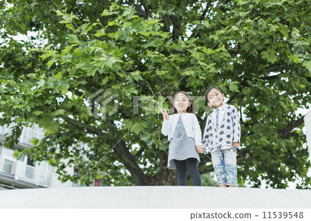 Nursery · Kindergarten 11539548