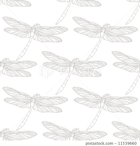 Seamless pattern with outline hand drawn dragonflies Seamless pattern with outline hand drawn dragonflies 11539660