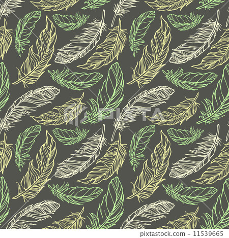 Seamless pattern with hand drawn decorative feathers Seamless pattern with hand drawn decorative feathers 11539665