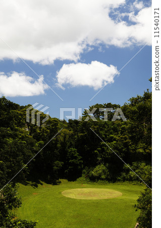 Golf course 11540171
