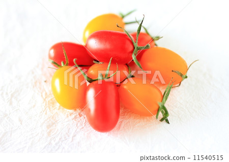 Mini tomato aqua white back 11540515