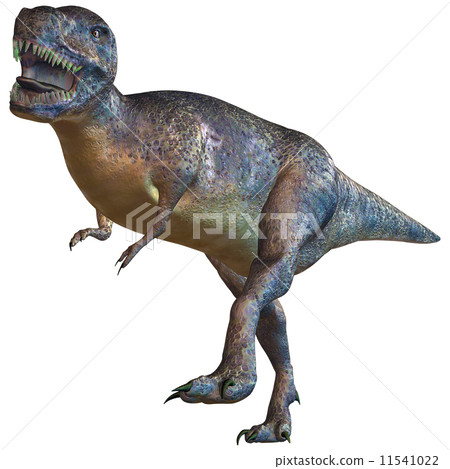 T-REX ☆ Tyrannosaurus T-REX ☆ Tyrannosaurus 11541022