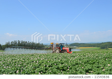 Potato (baron) control Potato (baron) control 11543636