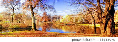 spring park 11543970
