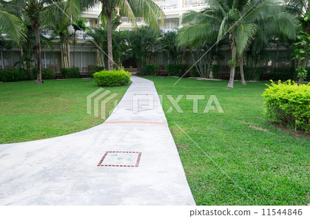 garden garden 11544846
