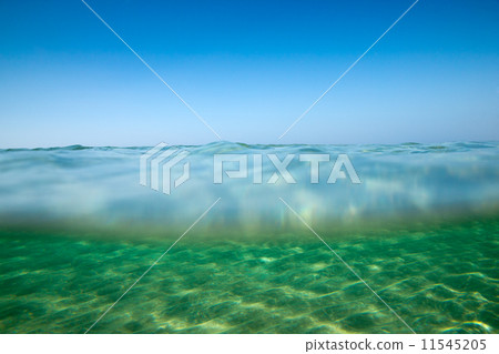 sea 11545205