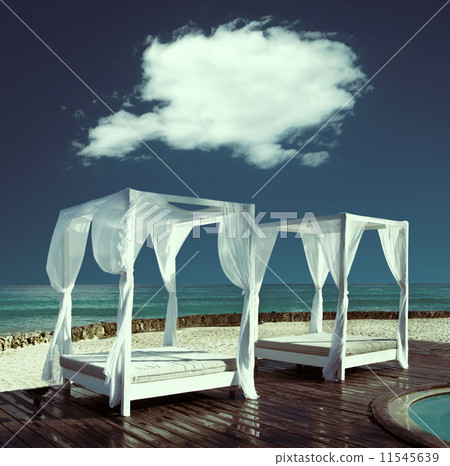 tropical sea 11545639