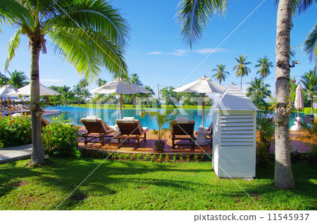 swimming pool 11545937