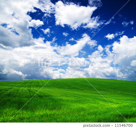 green field 11546700