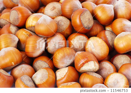 hazelnuts 11546753