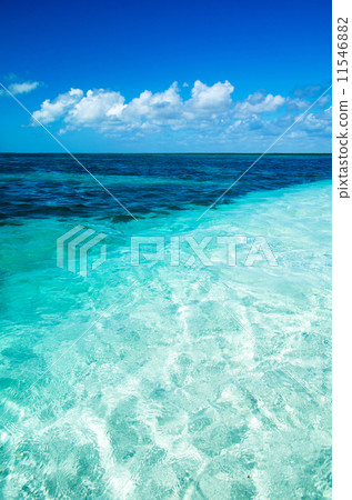 sea 11546882