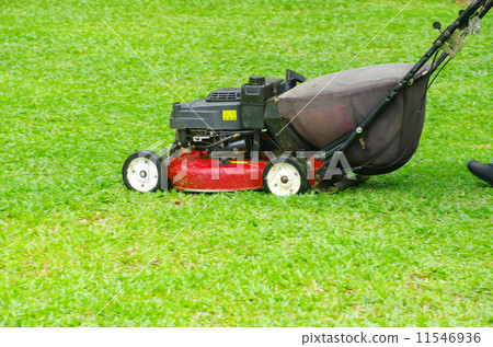 mowing the lawn mowing the lawn 11546936