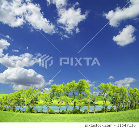 field 11547136