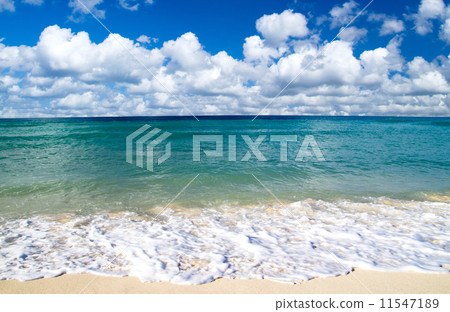 sea sea 11547189