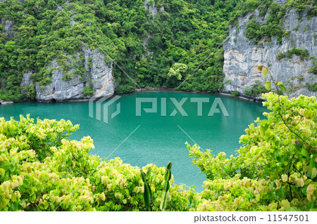 lagoon 11547501
