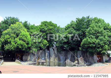 Takinoogawa Park 11547995