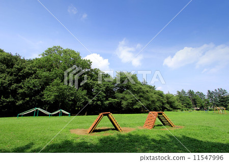 Nogawa Park 11547996