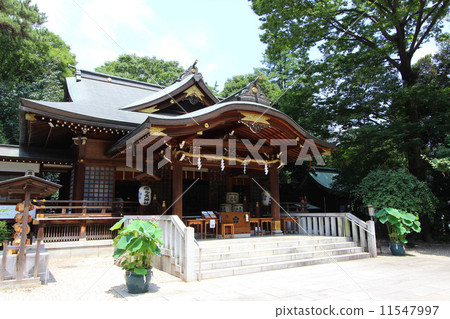 Chofu Cloth Tenjinjin 11547997