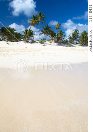 Caribbean Beach Caribbean Beach 11548431