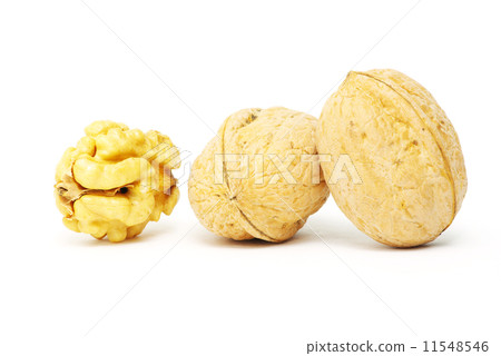 walnuts walnuts 11548546