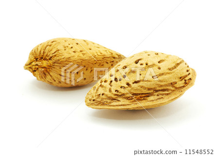 almond almond 11548552