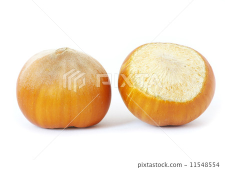 hazelnuts hazelnuts 11548554