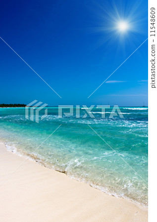 tropical sea 11548609