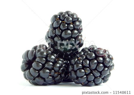 blackberry 11548611