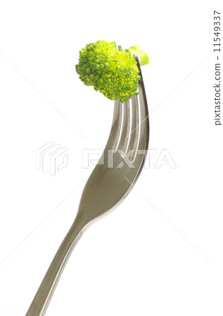 fork and broccoli fork and broccoli 11549337