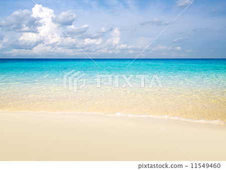 sea sea 11549460