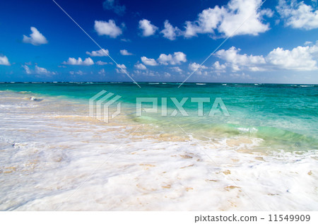 tropical sea tropical sea 11549909