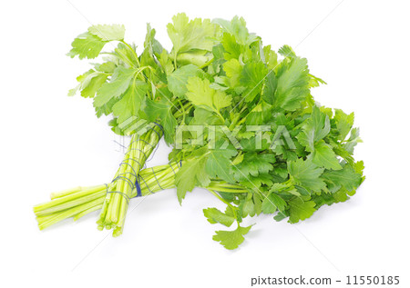 green parsley 11550185