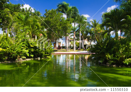 Garden Garden 11550310
