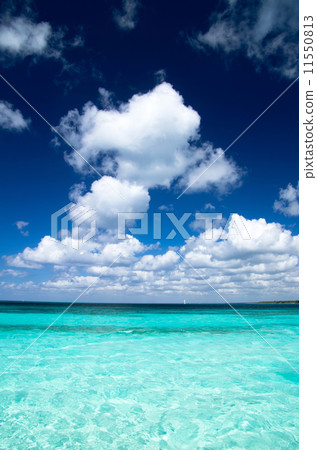 tropical sea tropical sea 11550813