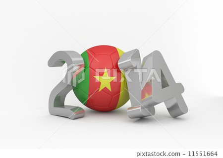 Cameroon world cup 2014 11551664