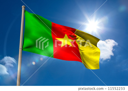 Cameroon national flag on flagpole 11552233
