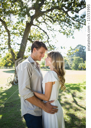 Smiling couple standing and embracing in park 11553995
