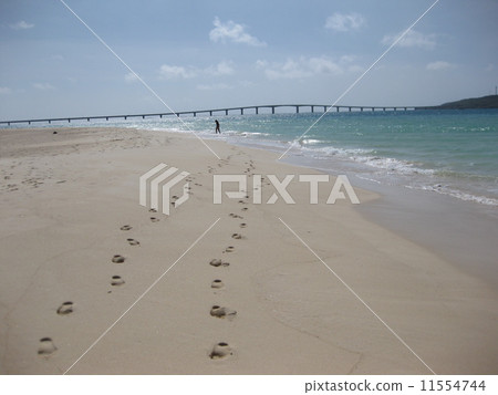 Footsteps 11554744