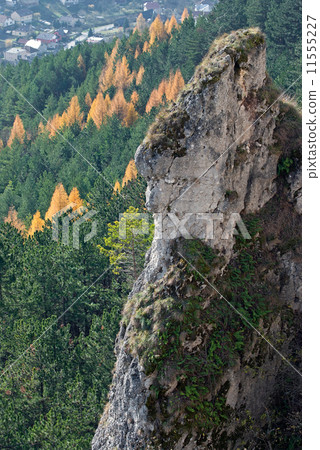 Autumn landscape with rock 11555227